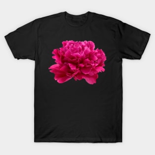 Hot Pink Peony Close-up T-Shirt